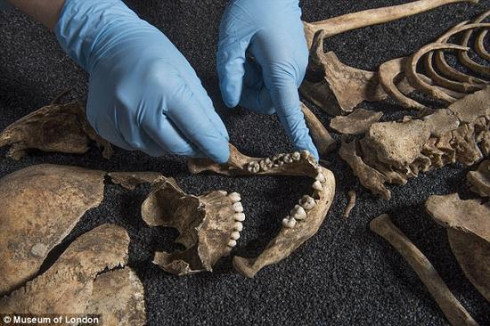 考古学家声称发现疑似中国人的骸骨。